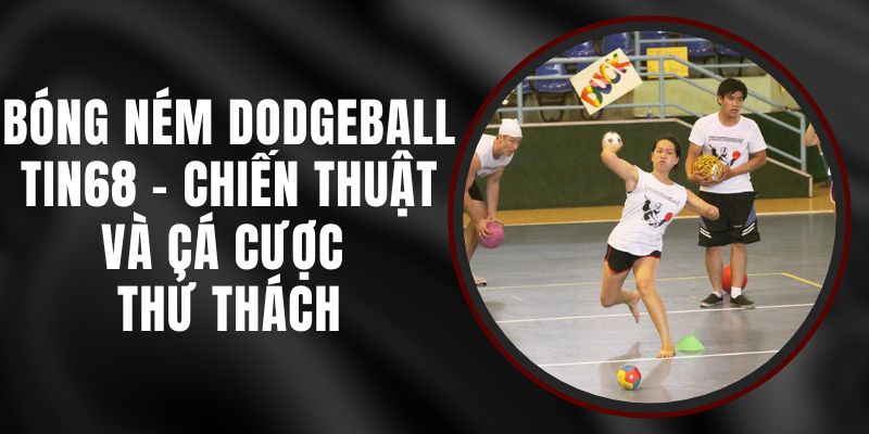 Bóng Ném Dodgeball Tin68 - Chiến Thuật Và Cá Cược Thử Thách